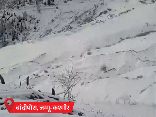 MP-UP समेत देश के 13 राज्यों में कोहरे का अलर्ट:दिल्ली में सुबह धुंध छाई; जम्मू-कश्मीर के पुलावामा में तापमान -2.7°C रिकॉर्ड