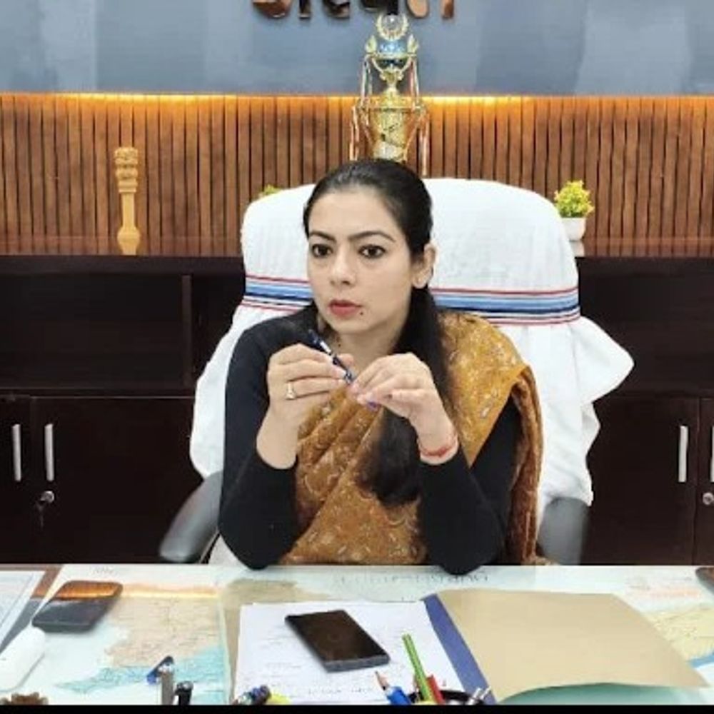 अरवल नहर रोड पर दुर्घटना की आशंका:डीएम ने पेड़ों की स्थिति जांचने को समिति बनाई