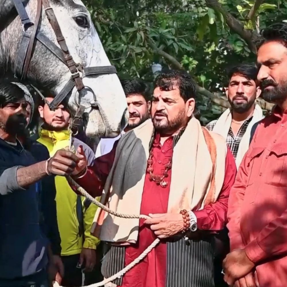 बृजभूषण को मिला पार्सपोर्ट वाला डेढ़ करोड़ का घोड़ा:पंजाब से आए दो युवकों ने दिया बर्थडे गिफ्ट, बोले- यार हम तो पागल हो जाएंगे