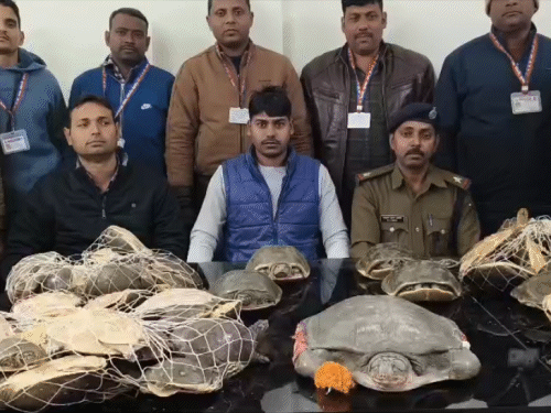गयाजी में नेताजी एक्सप्रेस से 76 जिंदा कछुआ बरामद:स्टेशन पर 'ऑपरेशन विलेप' के तहत कार्रवाई, कीमत 38 लाख; आरपीएफ ने वन विभाग को सौंपा