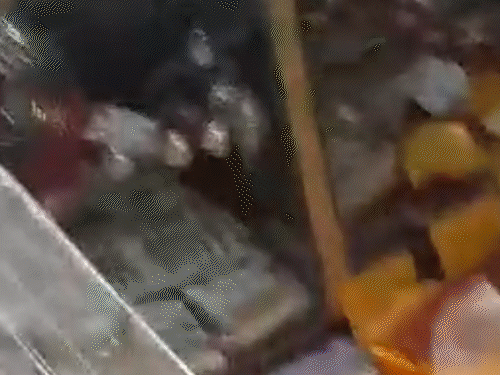 स्वर्ण व्यवसायी को बंधक बनाकर 40 लाख की लूट:जमुई में 12 हथियारबंद बदमाशों ने तोड़ा शटर, 8 लाख रुपये नकद; 32 लाख के गहने की डकैती