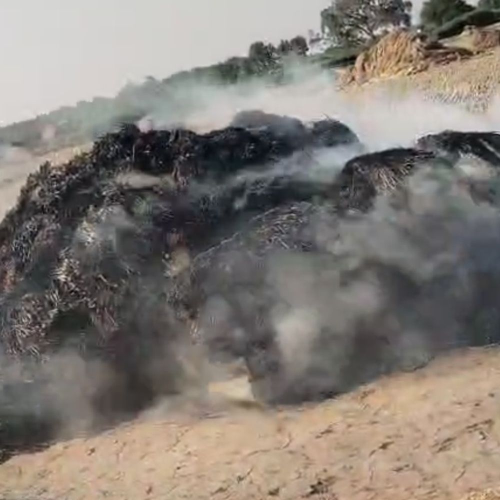 बांका में किसान का दो एकड़ धान पुआल नष्ट:असामाजिक तत्वों ने लगाई आग, लाखों का नुकसान