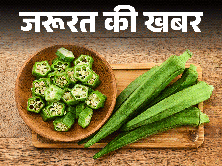 जरूरत की खबर- भिंडी खाने से तेज होता दिमाग:फाइबर से भरपूर, न्यूट्रिशन का पावरहाउस, डॉक्टर से जानें किसे नहीं खानी चाहिए