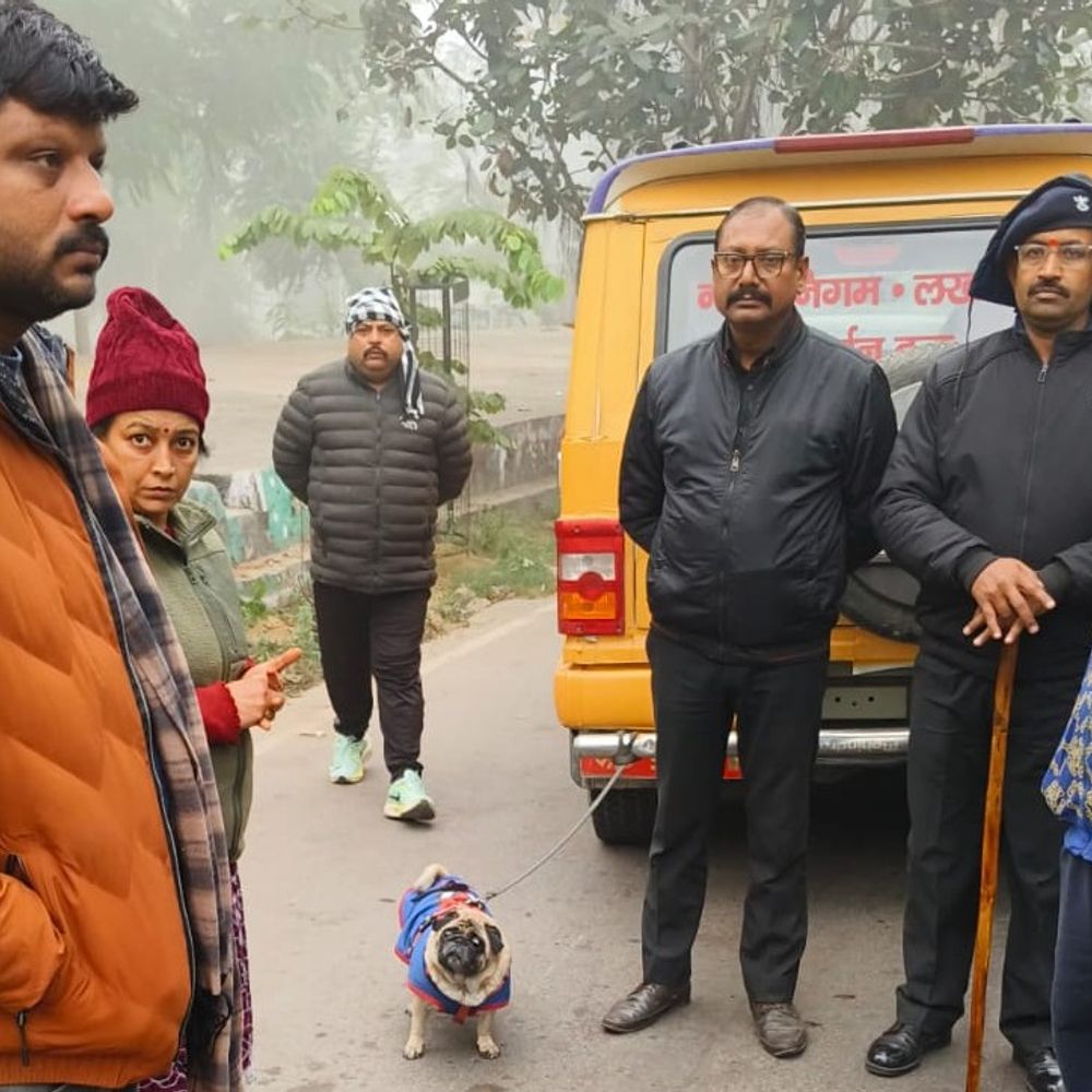 लखनऊ में पालतू कुत्ता पालने पर कार्रवाई:नगर निगम से नहीं किया लाइसेंस,36 हजार रुपए का वसूला जुर्माना