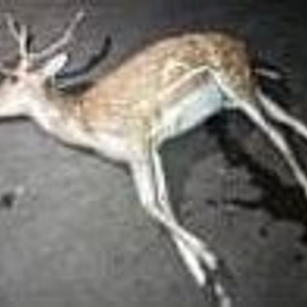 75fe240e d043 4460 8f80 e2ed2cbf5758 1765894346941