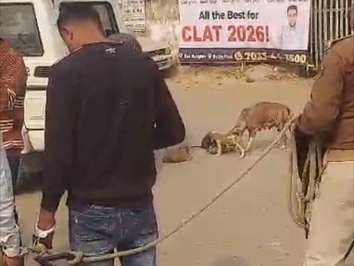 3 बच्चों के पिता ने छात्रा का किया यौन शोषण:रॉन्ग नंबर से हुई थी पहचान, आरोपी ने न्यूड वीडियो बनाकर सोशल मीडिया पर डाला