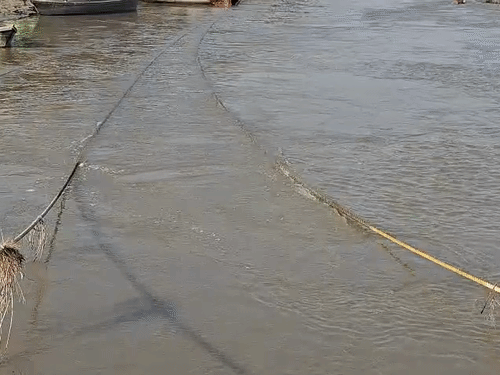 CM का डेडलाइन बीता, माघ मेले का काम बहुत पीछे:प्रयागराज में 15 दिसंबर तक पूरा करना था माघ मेले का कार्य, अफसर बोले- 95% कार्य पूरा