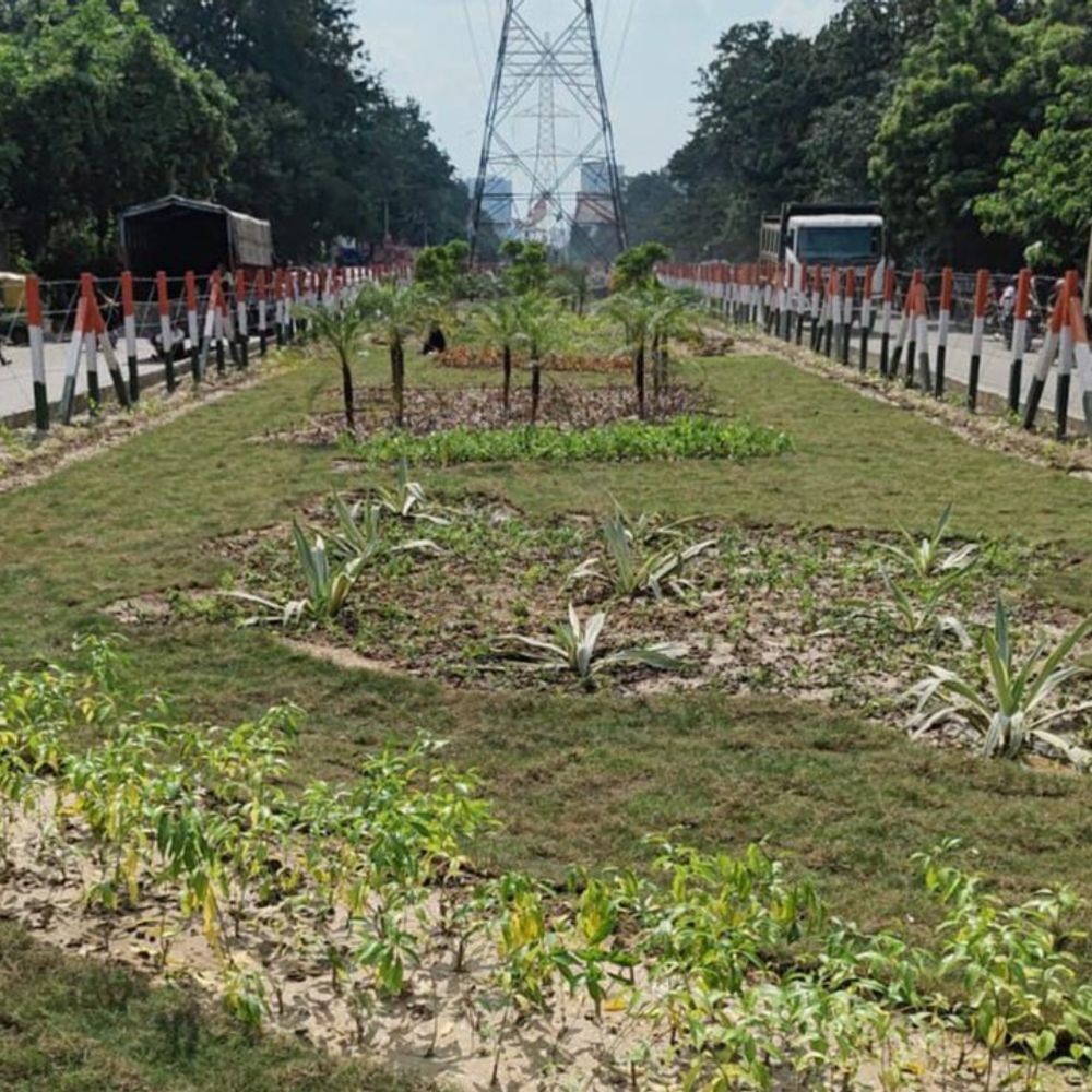 शहर की ग्रीनरी को बढ़ा रहा नगर निगम:गाजियाबाद में ग्रीन बेल्ट तथा मुख्य चौराहों पर पौधों से सौंदर्यकरण