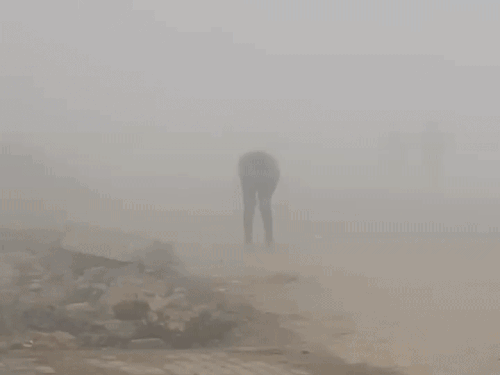 प्रयागराज में घने कोहरे और ठंड का कहर:दिन में धूप पड़ी कमजोर, रात को अधिक ठिठुरन, AQI 302 पहुंचा