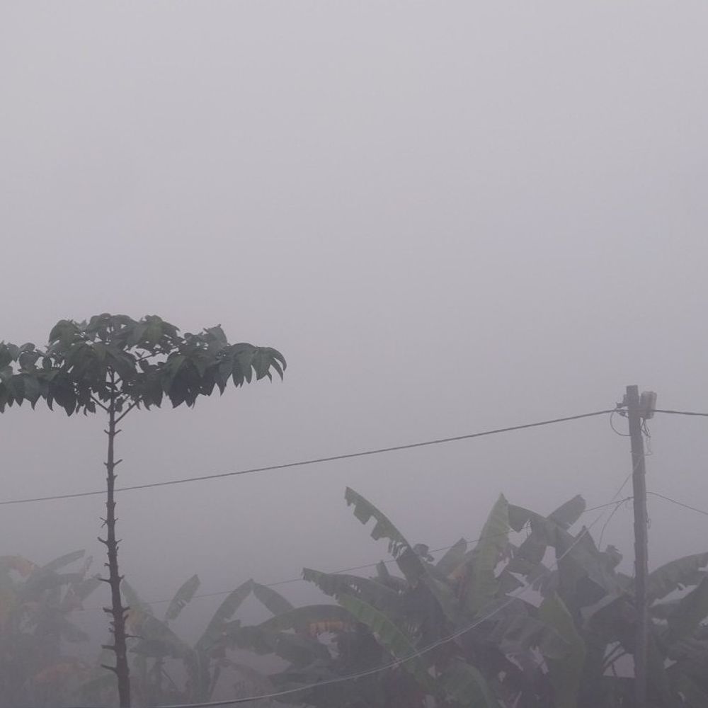 सीतामढ़ी-शिवहर में ठंड का असर, घना कोहरा छाया:पछुआ हवा से तापमान गिरा, जनजीवन प्रभावित; डॉक्टर ने बुजुर्गों का विशेष ध्यान रखने की दी सलाह