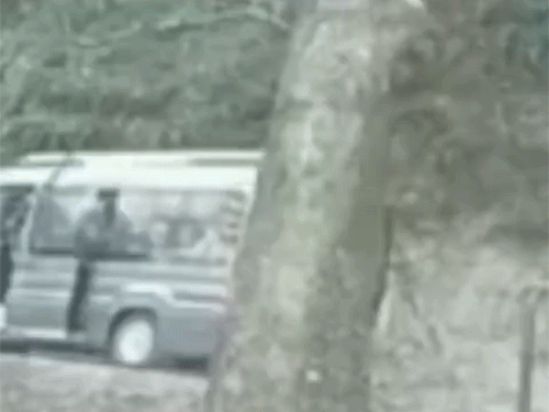 हिमाचल में टूरिस्ट से भरी ट्रेवलर पीछे लुढ़की,VIDEO:जान बचाने कूदे लोग; पेड़ से टकराने के बाद रुकी गाड़ी, दिल्ली से घूमने आए