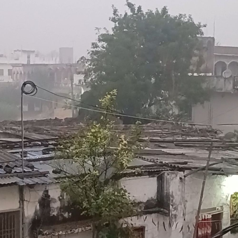 समस्तीपुर में पछिया हवा बढ़ाएगी ठंड:सुबह से छाया कुहासा, किसानों के लिए एडवाइजरी जारी