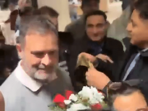 राहुल गांधी जर्मनी पहुंचे:बर्लिन में आज इंडियन ओवरसीज कांग्रेस के कार्यक्रम में शामिल होंगे; 6 महीनों में चौथा विदेश गए