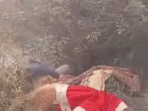 गोरखपुर में प्रिंसिपल और रसोइया के बीच मारपीट...VIDEO:एक-दूसरे को फिल्ड में घसीटा, मिड-डे मील में कीड़े मिलने पर भड़का विवाद