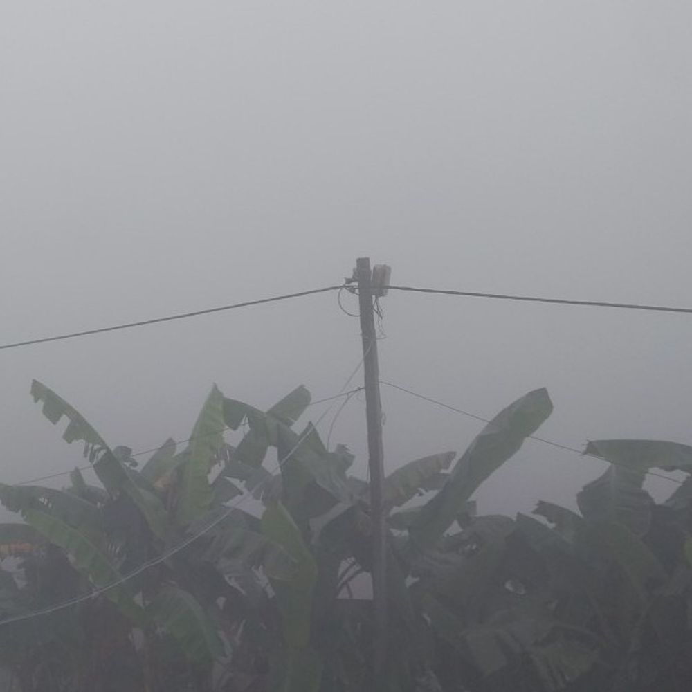 सीतामढ़ी में पछुआ हवा से बढ़ी ठंड:उत्तर बिहार में 21 दिसंबर तक दिन में साफ रहेगा मौसम, न्यूनतम तापमान में गिरावट संभव