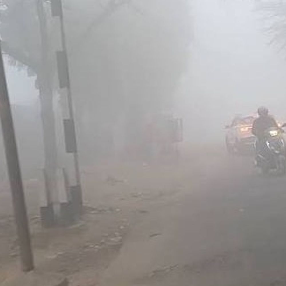 परबत्ता में घना कोहरा छाने से भीषण ठंड:जनजीवन प्रभावित, सड़कों पर कम दृश्यता; वाहन चालक हेडलाइट जलाकर गाड़ी चला रहे