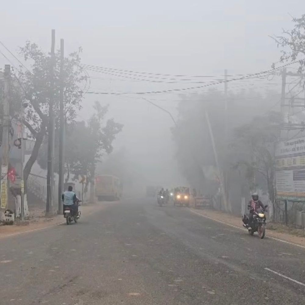 शेखपुरा में दूसरे दिन भी घना कोहरा, ठंड बढ़ी:अधिकतम तापमान 7 डिग्री सेल्सियस के नीचे, लोगों ने लिया अलाव का सहारा