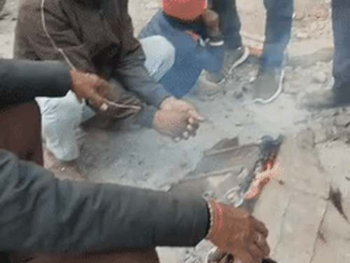 ठंड का कहर, ज्यादातर स्कूलों में शीतलहर की छुटि्टयां:प्रयागराज में तीन दिनों से लगातार पड़ रही तेज ठंड, डॉक्टर बोले- जरूरी हो तभी घर से निकलें