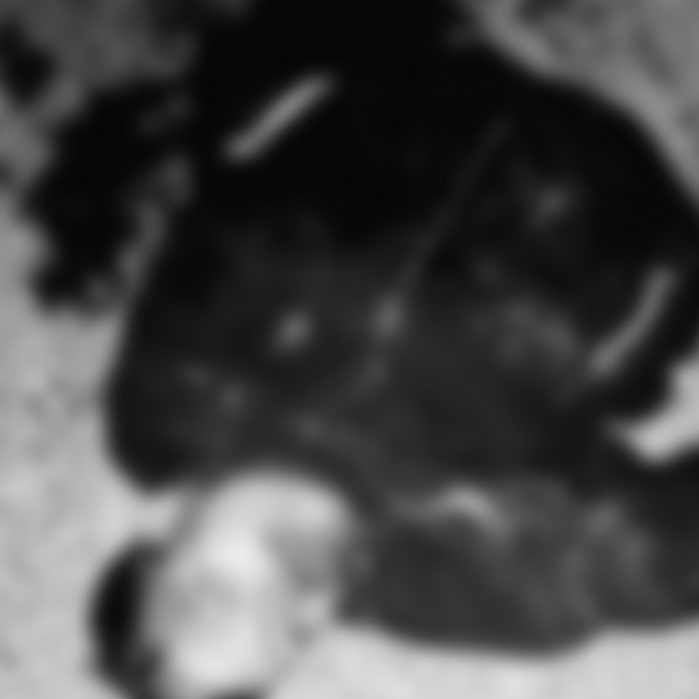 पूर्णिया में सड़क हादसे में मजदूर की मौत:दूसरे की हालत गंभीर; काम खत्म होने के बाद घर लौट रहे थे, ट्रक ने बाइक में मारी टक्कर