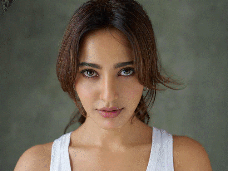 सट्‌टेबाजी केस- युवराज-सोनू सूद की संपत्ति जब्त:मनी लॉन्ड्रिंग से पैसे लेने का आरोप, ED ने कई सेलेब्स की 1000 करोड़ की प्रॉपर्टी सीज की