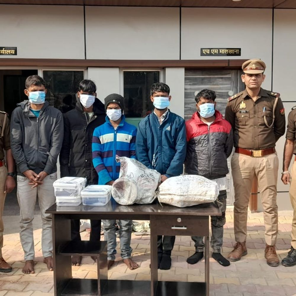 आगरा पुलिस ने ट्रांसफॉर्मर चोरी करने वाला गैंग पकड़ा:ट्रांसफॉर्मर उतारा, तेल फैलाकर कॉपर निकाल ले गए