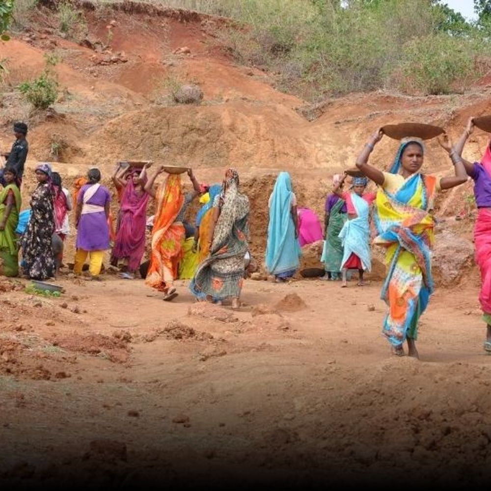 5 साल में मनरेगा के 4.43 करोड़ कार्ड हटे:सबसे ज्यादा बिहार में; कुल डिलीट कार्ड में 44% बिहार-यूपी का हिस्सा