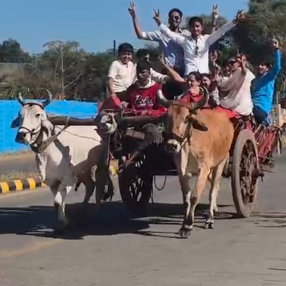 लग्जरी गाड़ियां छोड़ बैलगाड़ी में बैठ पहुंचे केसरिया जैन तीर्थ:लगे जय केसरियानाथ के जयकारे; सालों की परंपरा को रखा कायम