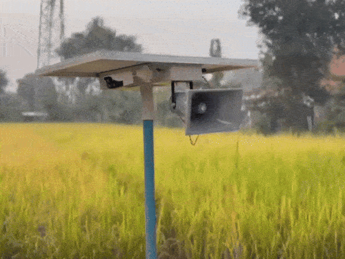 AI से दूर होगा उत्तराखंड में जंगली जानवरों का डर:150 मीटर दूर से आवाजें निकालकर भगाएगा, भालू-तेंदुआ पास आया तो स्प्रे भी करेगा डिवाइस