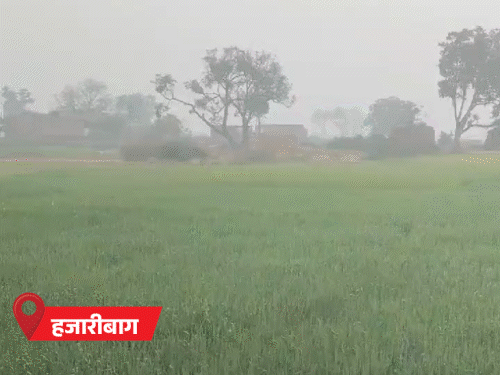 झारखंड में उत्तर-पश्चिम की बर्फीली हवाओं से कनकनी:  16 जिलों में आज से 5 दिन पड़ेगी कड़ाके की ठंड, कल 15 जिलों में यलो अलर्ट – Ranchi News