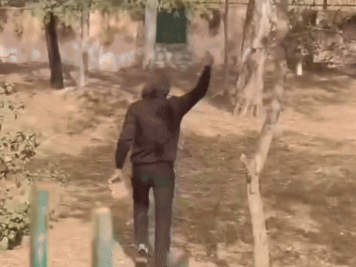 रोहतक मिनी जू में मगरमच्छ के बाड़े में घुसा युवक:पत्थर व डंडा मारते हुए बनाई वीडियो, इंस्टाग्राम पर रील वायरल