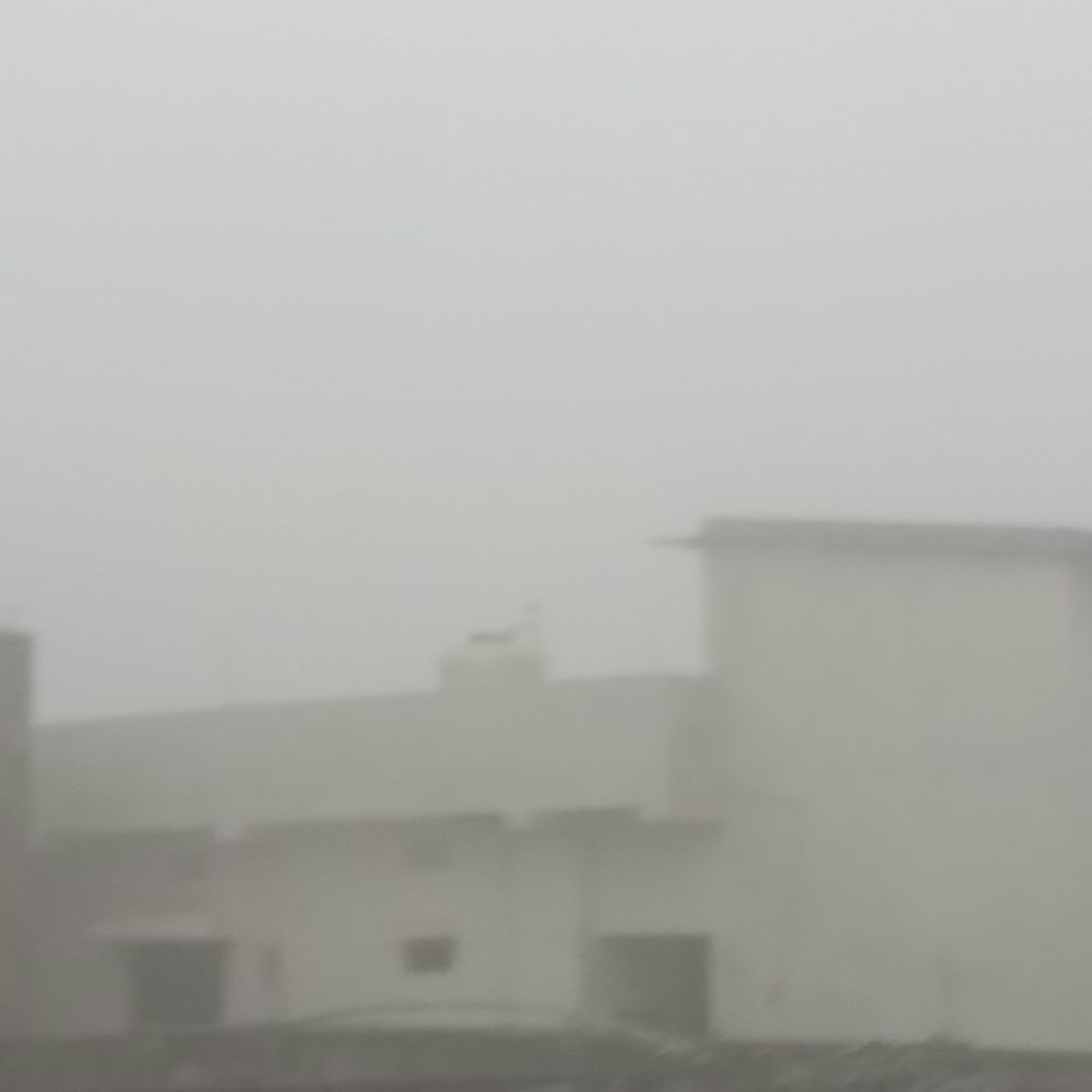 परबत्ता में घना कोहरा छाया:पछुआ हवा से ठंड बढ़ी, धुंध से आवागमन प्रभावित