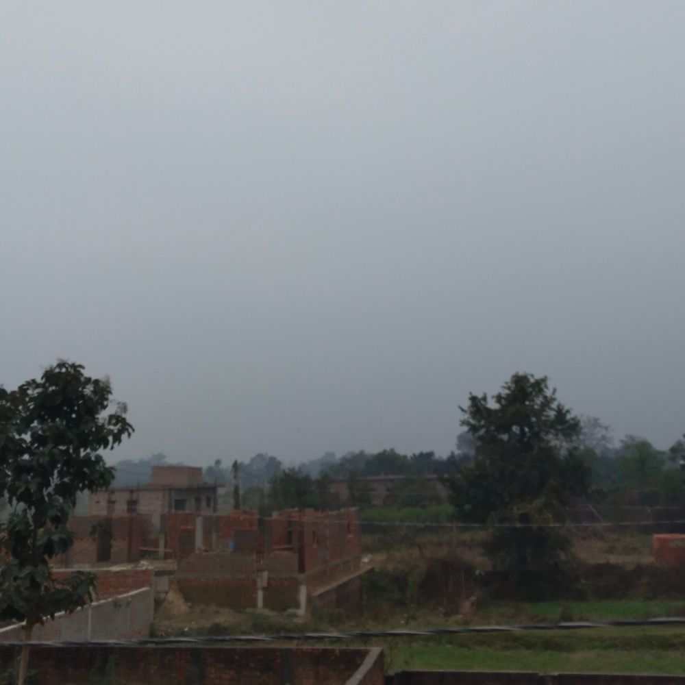 मधुबनी में कड़ाके की ठंड, जनजीवन प्रभावित:सड़कों पर सन्नाटा पसरा, पछुआ हवा से बढ़ा असर