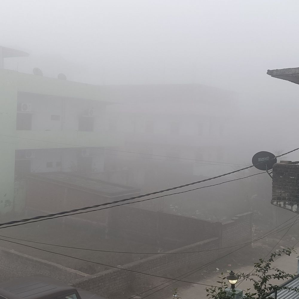 सिंगरौली में घना कोहरा, विजिबिलिटी 20 मीटर तक:ठंड का असर जारी, न्यूनतम तापमान 8 से 12 डिग्री सेल्सियस