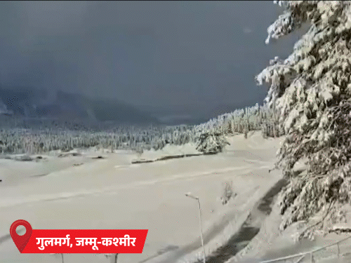 MP के 25 शहरों में तापमान 10°C से कम:यूपी में शिमला से ज्यादा सर्दी, पारा 4.5°C पहुंचा; दिल्ली में 270 फ्लाइट लेट, 10 कैंसिल