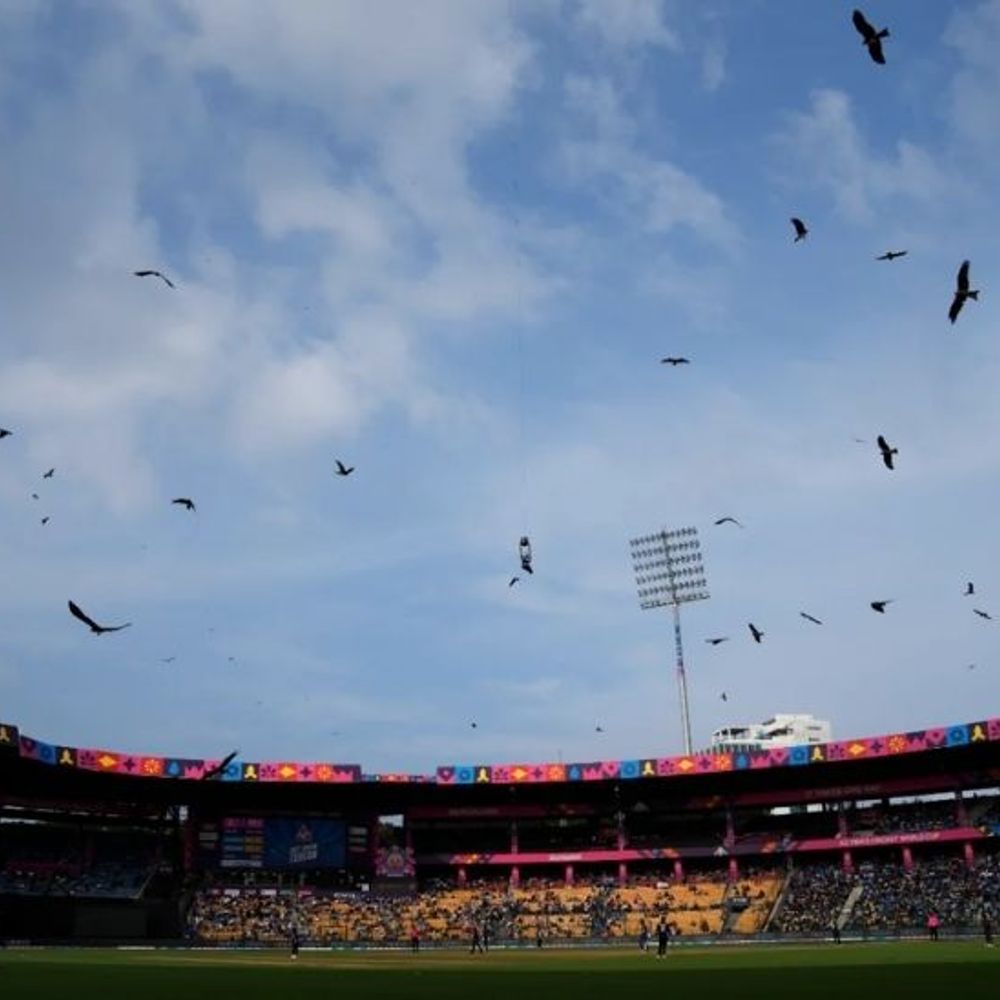 चिन्नास्वामी स्टेडियम में नहीं होंगे विजय हजारे ट्रॉफी के मैच:सुरक्षा के कारण BCCI के सेंटर ऑफ एक्सीलेंसी में शिफ्ट, विक्ट्री परेड में भगदड़ मची थी