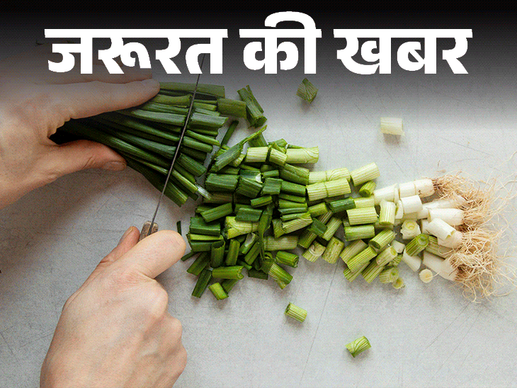 जरूरत की खबर- हरी प्याज के 10 हेल्थ बेनिफिट्स:कैल्शियम से भरपूर, पाचन सुधारे, इम्यूनिटी बढ़ाए, जानें किन्हें नहीं खानी चाहिए
