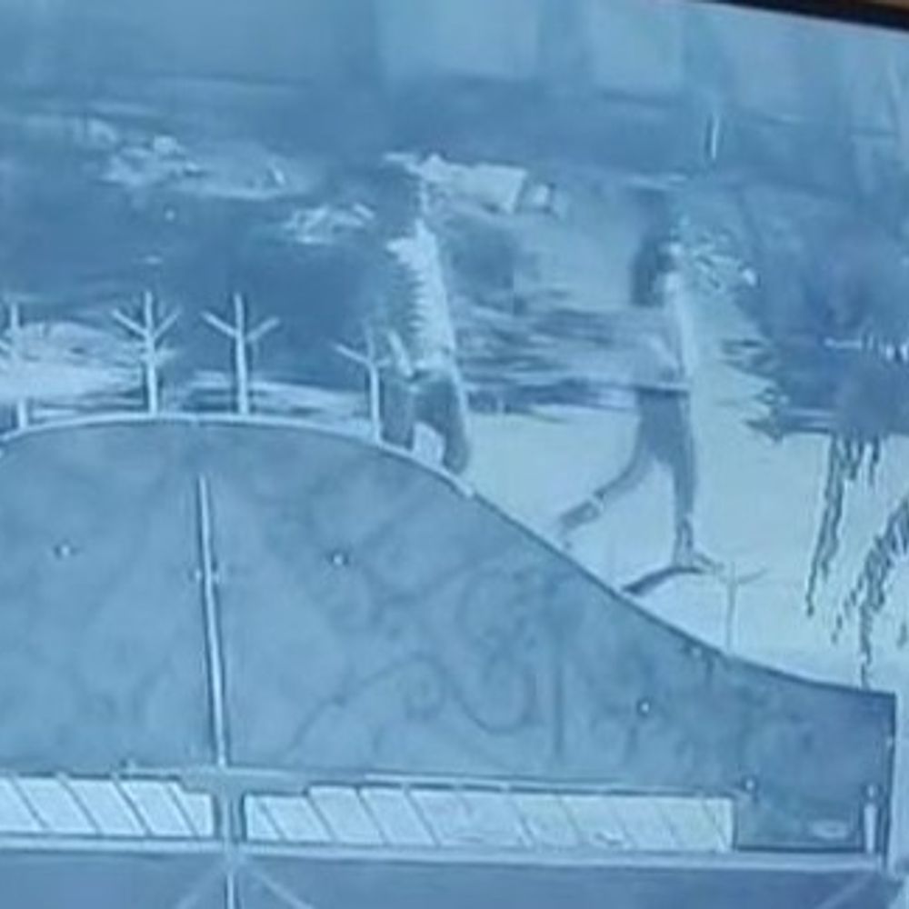 पंचकूला में दुकान से चोरी किया कैश और सामान:  ​​​​​​​कैमरे में दिखे 2 युवक, ताला नहीं टूटा तो दानपात्र भी उठा ले गए – Panchkula News