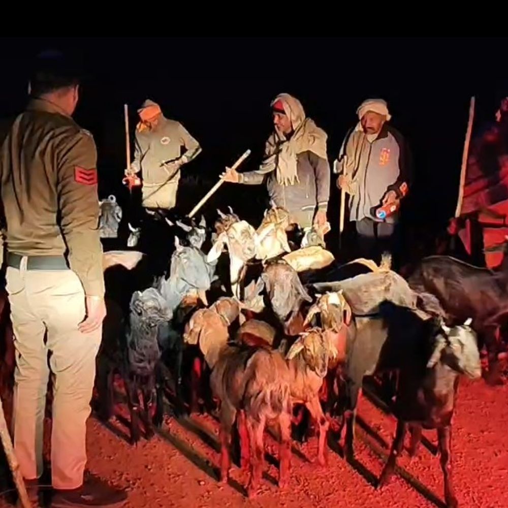 पुलिस सर्चिंग से डरे बदमाश, 32 बकरियां छोड़कर भागे:पांच दिन पहले कुसमुही जंगल से लूटी गई थीं, 4 अब भी गायब; आरोपियों की तलाश जारी