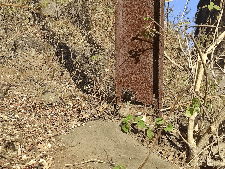 नेपानगर में जर्जर बिजली पोल, हादसे का खतरा:नया पोल होने के बावजूद पुराने पर भी टिकी लाइन, अधिकारी बोले- जल्द हटेगा