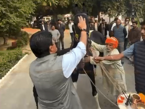 राजा भैया ने की बृजभूषण की बराबरी:डेढ़ करोड़ का घोड़ा गिफ्ट लेकर दिखाया रुतबा; VIDEO में देखिए यूपी के बाहुबलियों की कहानी