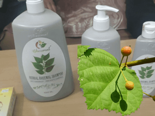 उत्तराखंड में पशुओं के चारे से बनाया करोड़ों का प्रोडक्ट:नेचुरल शैंपू बनाने के लिए शहर छोड़ लौटे गांव, रिश्तेदार की एक डिमांड से आया आइडिया