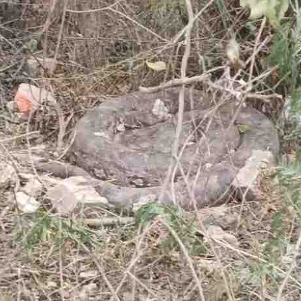 लखनऊ के उनरापुर में दिखा विशालकाय अजगर:ग्रामीणों में दहशत, पुलिस और रेस्क्यू टीम मौके पर