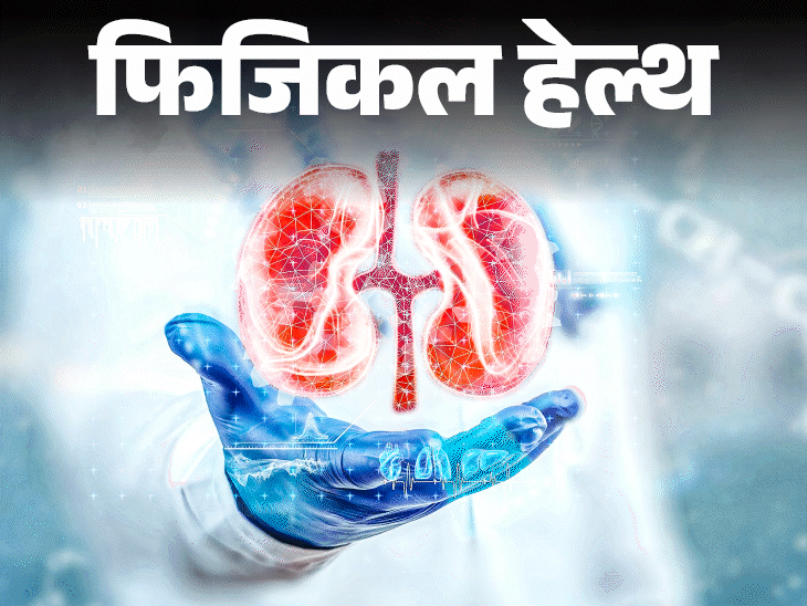 फिजिकल हेल्थ- भारत में 13 करोड़ लोगों की किडनी खराब:तेजी से क्यों बढ़ रहे मामले, डॉक्टर से जानें सभी जरूरी सवालों के जवाब