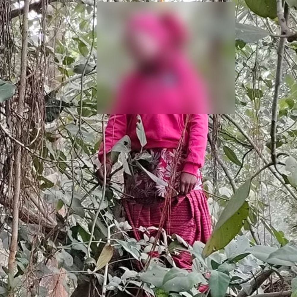 हजारीबाग में युवती का शव पेड़ से लटका मिला:  परिजनों ने प्रेमी पर हत्या का लगाया आरोप, थाने में दिया आवेदन – Hazaribagh News