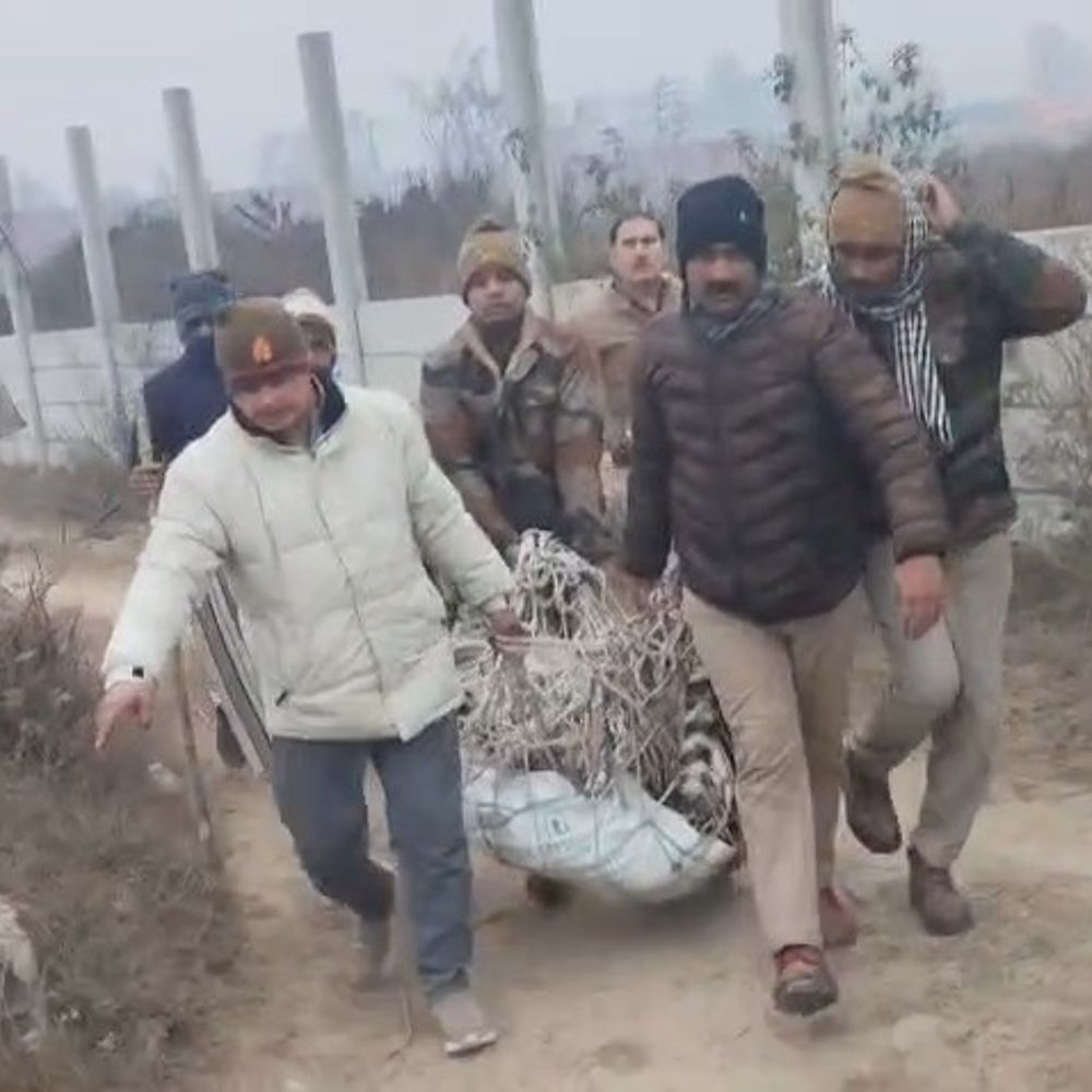 अमरोहा में आदमखोर तेंदुए की मौत:ट्रेन की चपेट में आने से हुआ हादसा, वन विभाग ने शव कब्जे में लिया