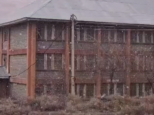 हिमाचल के ऊंचे पहाड़ों पर स्नोफॉल शुरू:अगले 72 घंटे बारिश-बर्फबारी जारी रहेगी; 5 को बदलेगा मौसम, कोल्ड-वेव का यलो अलर्ट