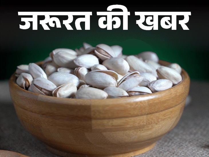 जरूरत की खबर- पिस्ता खाने के 11 फायदे:वजन घटाए, इम्यूनिटी बढ़ाए, कोलेस्ट्रॉल कम करे, न्यूट्रिशनिस्ट से जानें किसे नहीं खाना चाहिए