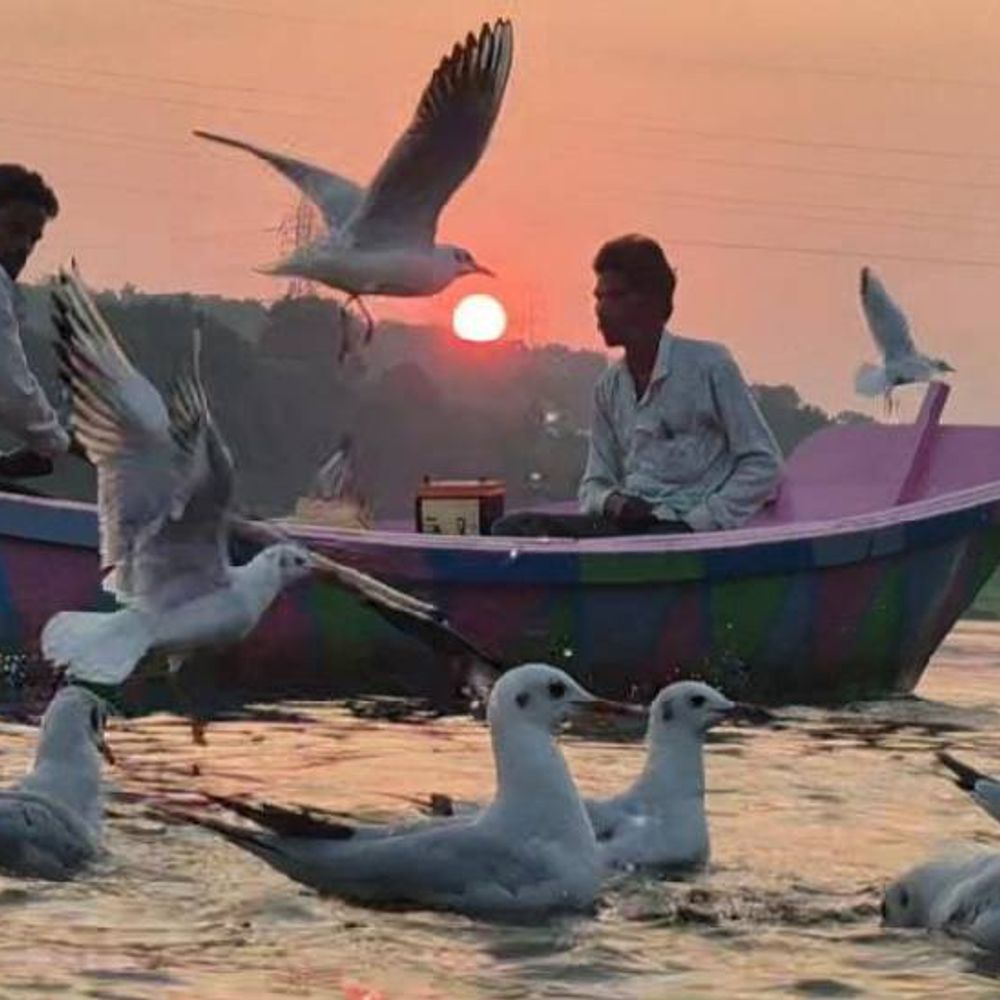 संस्कारधानी में ऐसे हुआ सूर्यअस्त:धीमे-धीमे नर्मदा नदीं के ऊपर से गायब हुए सूरज, देखें साल का अंतिम सूर्यअस्त