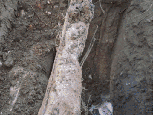 इंदौर में दूषित पानी से 14वीं मौत...162 लोग भर्ती:मृतकों के परिजन ने चेक लेने किया इनकार किया; मंत्री विजयवर्गीय भी मौजूद थे