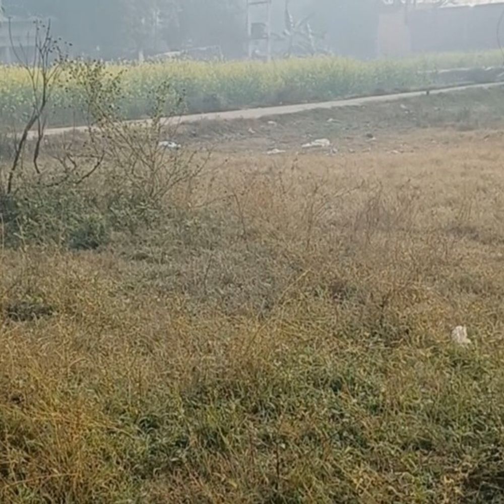 नए साल पर कोहरे से मिली राहत:सर्द हवाओं से ठंड बरकरार, न्यूनतम तापमान 10 डिग्री